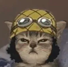 Aniden Avatar