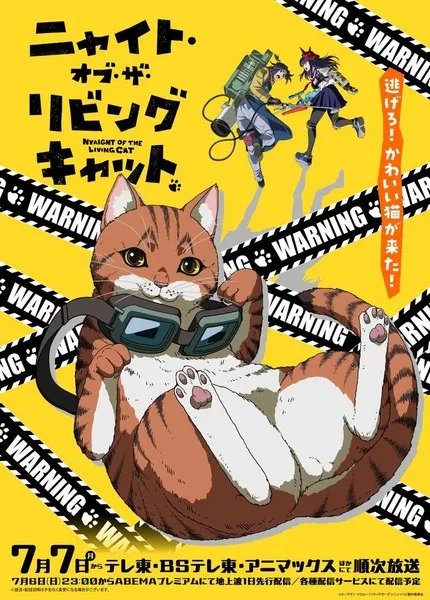 Nyaight of the Living Cat - Anizm.TV